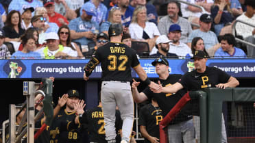 Henry Davis' sac fly