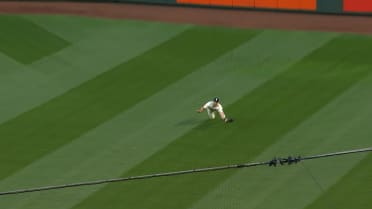 Dominic Canzone's incredible diving catch