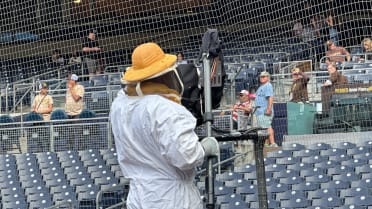 Bee swarm invades Petco Park