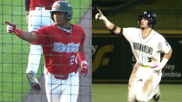 Quad Cities River Bandits vs. Fort Wayne TinCaps