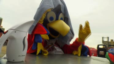 Fredbird lost his voice!