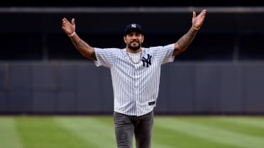 Alex Pereira throws out the first pitch