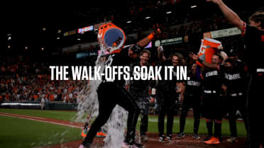 The Walk-Offs. | Soak It In