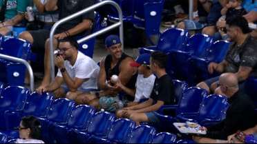 Fan makes impressive catch in the crowd