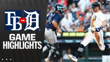 Rays vs. Tigers Highlights