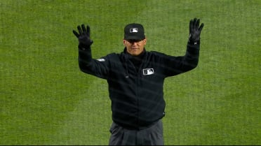 Home run overturned after review 