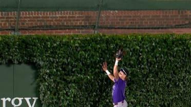 Cole Carrigg's catch into the ivy bush