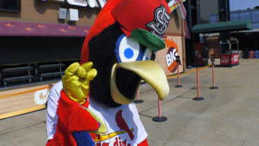 Cardinals Kids Show 2024 - Ep. 23