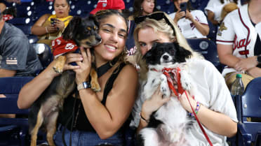 Bark in the Park at Nationals Park