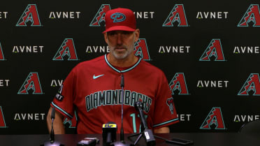 Torey Lovullo on D-backs' win in extras