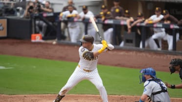 Gavin Sheets' sacrifice fly
