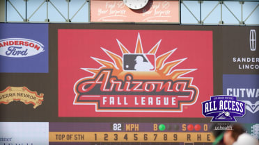 The Arizona Fall League
