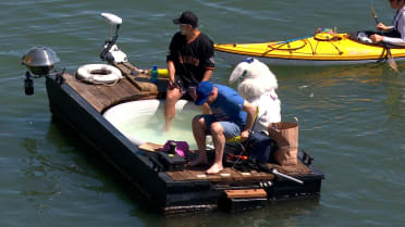 The Easter Bunny is spotted in McCovey Cove