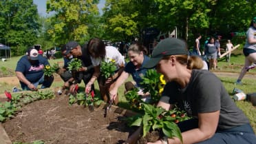 Braves unveil community farm