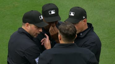 Alex Bregman's homer is overturned following a review