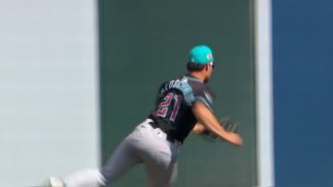Ryan Waldschmidt's amazing catch