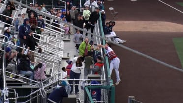 Luis Suisbel reaches into stands to make catch
