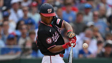 Andrew Pinckney's sac fly