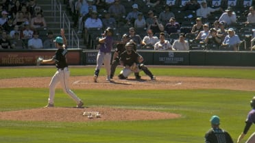 Adael Amador's two-run single