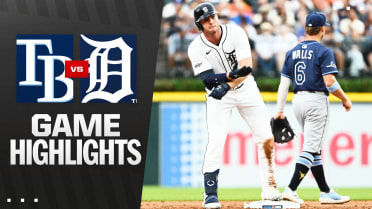 Rays vs. Tigers Highlights