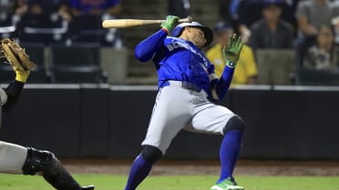 George Springer ruled not HBP after review