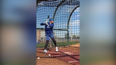 Cubs take reps as Spring Training camp begins
