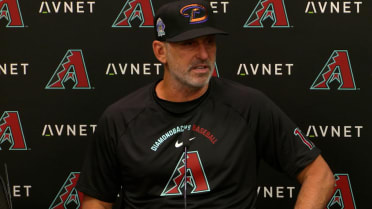 Torey Lovullo on the walk-off win, his team's fight