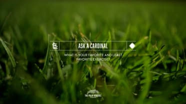 Ask A Cardinal, Part 5