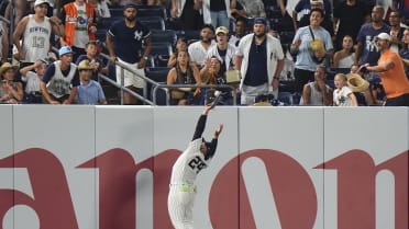 Jasson Domínguez's nice catch 