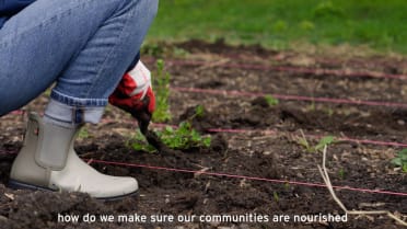 Twins adopt urban farm with AFC