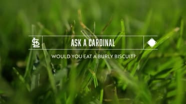 Ask A Cardinal: Would You Eat a Burly Biscuit?