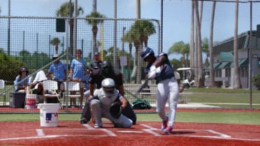 Notable prospects stand out in Vero Beach