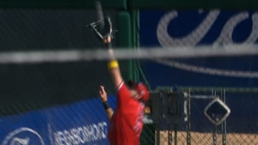 Josh Lowe's incredible leaping catch at the wall