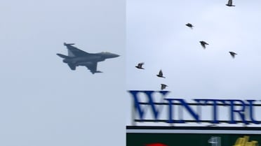 Thunderbirds desplazan palomas del  Wrigley Field