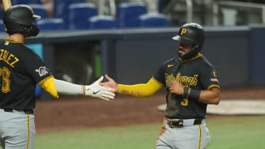 Esmerlyn Valdez's sac fly
