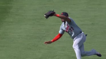 動画を再生