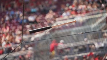 Elly De La Cruz's bat gets stuck in net