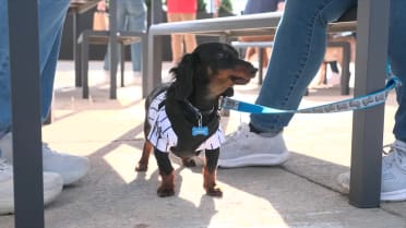 Progressive Field hosts Bark at the Park