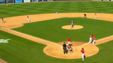 CJ Abrams' bases-loaded walk