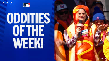 Oddities of the Week: 4/22/26