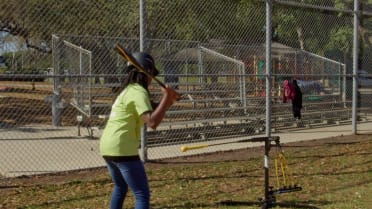 2023 Tampa Baseball Clinic