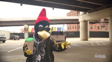 Cards Insider: S9, E27
