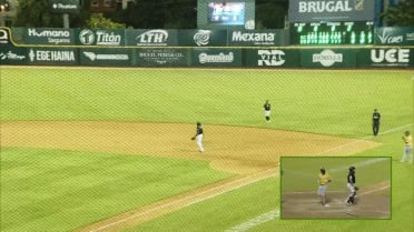 Emmanuel Rodríguez's sac fly