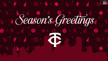 Twins wish you a healthy and happy holiday season!