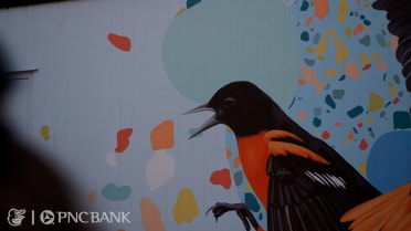 Birdland Murals