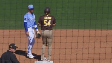 Freddy Fermin's RBI double