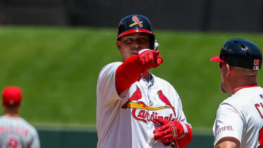 Yohel Pozo's RBI single