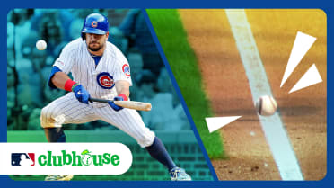 20 Amazing Bunts!