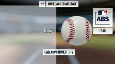 Ball 2 call confirmed after ABS challenge