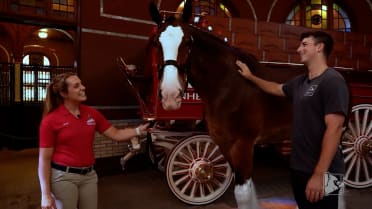 Cards Insider: Unbelievable Finish